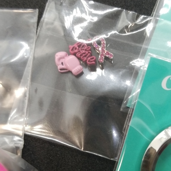 Origami Owl Jewelry - BC Awareness Origami Owl Jewelry - BC Awareness
